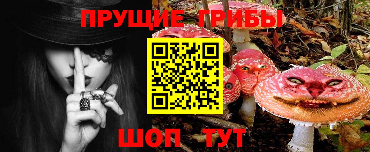 Псилоцибиновые грибы мухоморы Йошкар-Ола