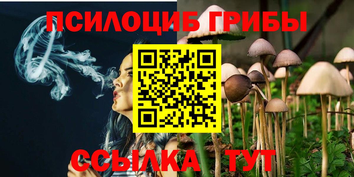 Йошкар-Ола  Галлюциногенные грибы MAGIC MUSHROOMS  Вход с VPN  Псилоцибиновые грибы мухоморы 